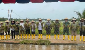 Danlanal Bintan