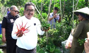 Asep Japar Paen Cabe