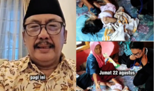 Bupati Pedului