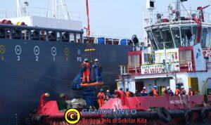 WhatsApp Image 2026-01-31 at 20.29.26