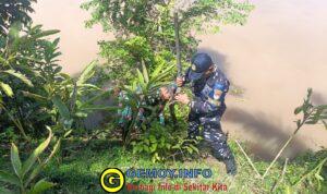 Posbinpotmar Bengkulu Tengah Bersinergi Dengan Koramil dan Polsek Pondok Kelapa Tanam Mangrove