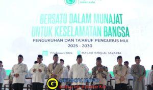 WhatsApp Image 2026-02-07 at 15.35.18