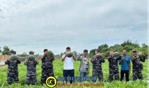 Sinergi TNI AL dan Petani, Danlanal Bengkulu Pimpin Giat Penanaman dan Panen di Lahan Ketahanan Pangan