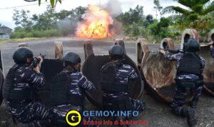 WhatsApp Image 2026-02-16 at 12.08.28