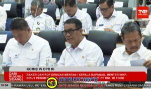 Pemerintah: Ketersediaan Jagung, Gula, hingga Telur Ayam Diproyeksikan Surplus Jelang El Nino Godzilla