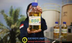 WhatsApp Image 2026-04-07 at 18.15.12