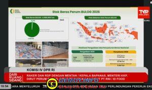 WhatsApp Image 2026-04-07 at 18.15.17