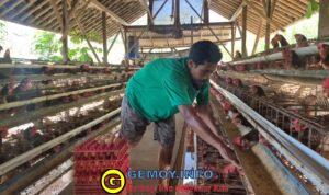 WhatsApp Image 2026-04-24 at 19.57.45