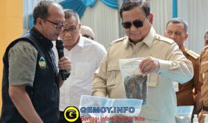 WhatsApp Image 2026-04-29 at 07.50.19