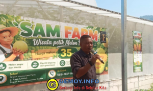 Wisata Petik Melon di Cisolok Resmi Dibuka, Dorong Pertanian Terintegrasi dan Ekonomi Lokal