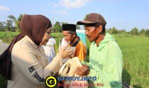 Legislator Gerindra, Hj. Rahmawati Program Prabowo Bikin Petani Makin Optimistis