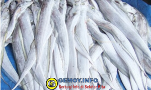 Dinas Perikanan Sukabumi Dorong Konsumsi Ikan, Ulil Suka Ika Layur yang Kaya Gizi