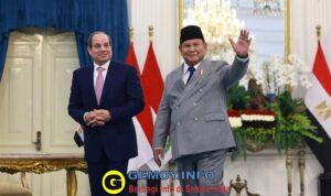WhatsApp Image 2026-10-11 at 20.49.51
